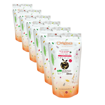 Tè Nero e Verde Bio in busta - De la mangue à la pêche - 100g - Pack 6 × Bustina 100 g