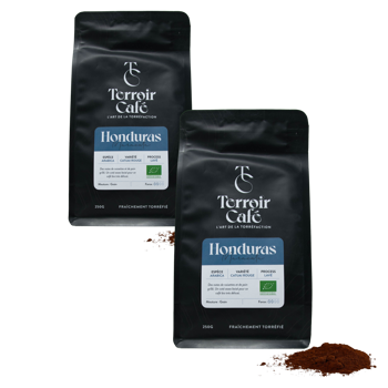 Terroir Cafe Terroir Cafe Honduras Bio Maracala 1Kg Moulu French Press - 1 Kg - Pack 2 × Moulu French press Pochette 1 kg