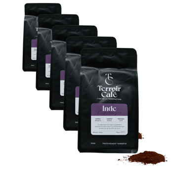 Terroir Café - Indien, Kusha 250g - Pack 5 × Mahlgrad Filter Beutel 250 g