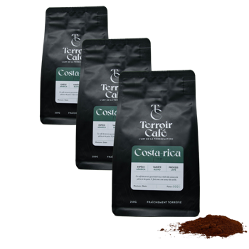 Terroir Cafe Terroir Cafe Costa Rica Tico 250G Moulu Moka - 250 G - Pack 3 × Moulu Moka Pochette 250 g