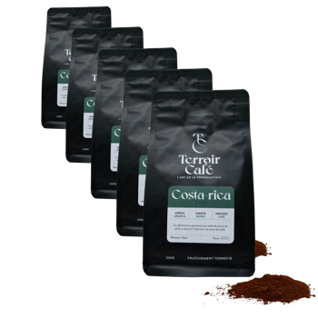 Gemahlener Kaffee - Costa Rica, Tico 250g - Pack 5 × Mahlgrad Moka Beutel 250 g