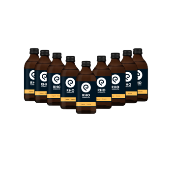 Ingwer / Limette Bio Kombucha 9x Flaschen 330ml - Glasflasche 2,97 kg