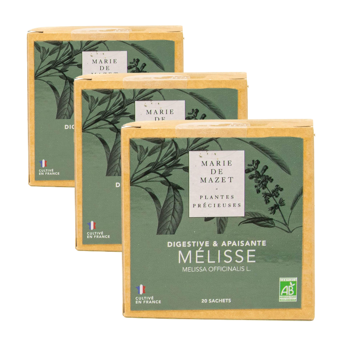 Melissa (x20) - Pack 3 × Bustine di te 20 g
