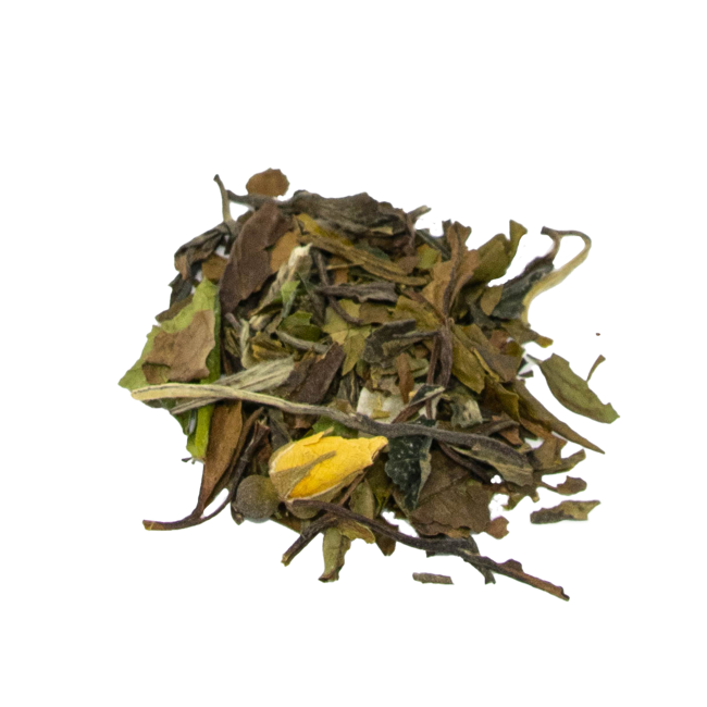 Terzo immagine del prodotto Botticelli by Tea & Tao