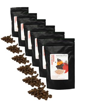Cafe En Grain Roestkaffee La Morena Espresso Blend 250 G - Pack 6 × Grains Pochette 250 g