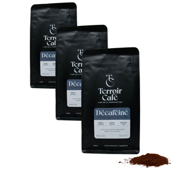 Terroir Cafe Terroir Cafe Mexique Decafeine Sueno 250G Moulu French Press - 250 G - Pack 3 × Moulu French press Pochette 250 g