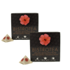 Bistrotea Fruits Rouges Infusettes 75 G by Bistrotea