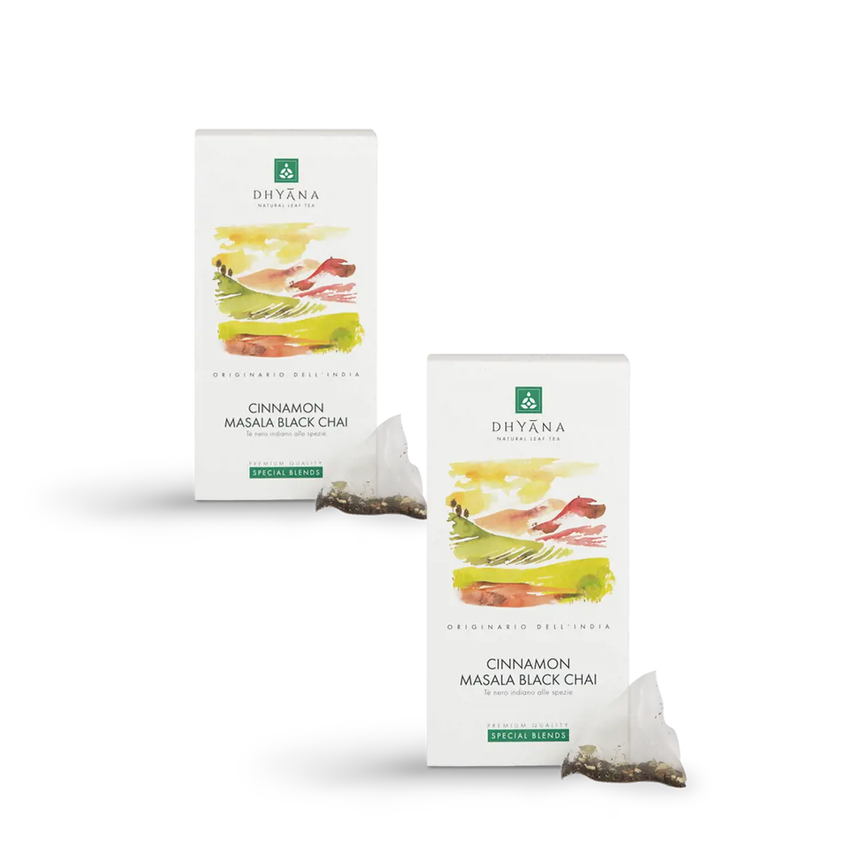 Cinnamon Masala Black Chai x15 filtri by Dhyana