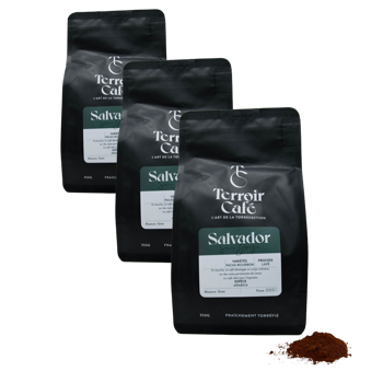 Terroir Cafe Terroir Cafe Salvador San Jorge 250G Moulu Moka - 250 G - Pack 3 × Moulu Moka Pochette 250 g