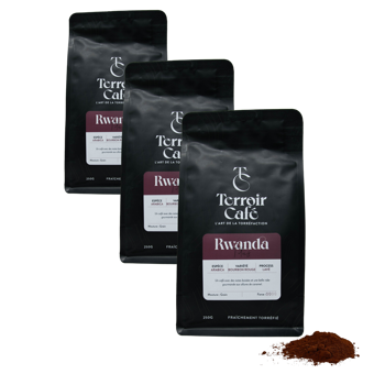 Terroir Cafe Terroir Cafe Rwanda Titus 250G Moulu Filtre - 250 G - Pack 3 × Moulu Filtre Pochette 250 g