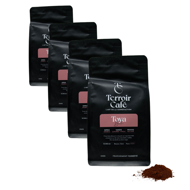 Gemahlener Kaffee - Bali, Toya - 250g by Terroir Cafe