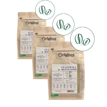 Origines Tea&CoffeeCafe Moulu Guatemala Quetzalito 250G Moulu French Press - 250 G - Pack 3 × Moulu French press Pochette 250 g