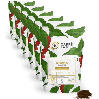 Kaffee Etiopia Bona Ayele - French Press - Pack 6 × Mahlgrad French Press Beutel 250 g