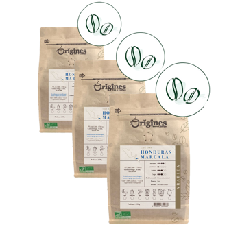 Origines Tea&Coffee Cafè En Grains - Honduras Marcala - 250G - Pack 3 × Grains Pochette 250 g
