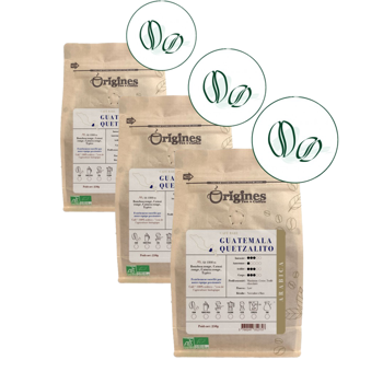 Origines Tea&Coffee Cafè En Grains - Guatemala Quetzalito - 250G - Pack 3 × Grains Pochette 250 g