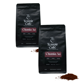 Terroir Café - Kenya, Chania Aa 250g - Pack 2 × Mahlgrad French Press Beutel 250 g