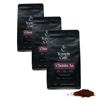 Terroir Cafe Terroir Cafe Kenya Chania Aa 250G Moulu French Press - 250 G - Pack 3 × Moulu French press Pochette 250 g