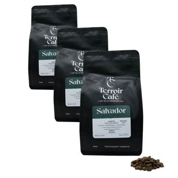 Café En Grain Terroir Cafe Terroir Cafe Salvador San Jorge 250G - 250 G - Pack 3 × Grains Pochette 250 g