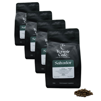 Café En Grain Terroir Cafe Terroir Cafe Salvador San Jorge 250G - 250 G - Pack 4 × Grains Pochette 250 g