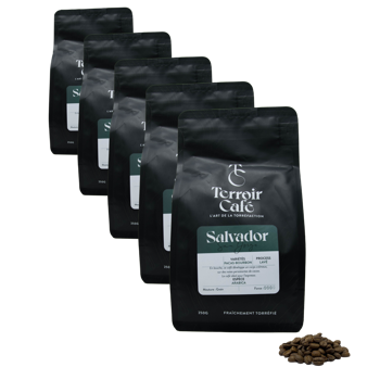 Kaffeebohnen - Salvador, San Jorge 250g - Pack 5 × Bohnen Beutel 250 g