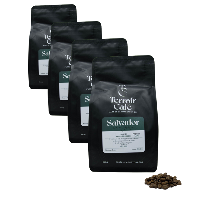 Café En Grain Terroir Cafe Terroir Cafe Salvador San Jorge 250G - 250 G by Terroir Cafe