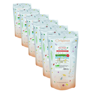 Maté Bio in busta- Maté Mojito Brésil - 100g - Pack 6 × Bustina 100 g