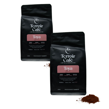 Terroir Cafe Terroir Cafe Bali Toya 250G Moulu Filtre - 250 G - Pack 2 × Moulu Filtre Pochette 250 g