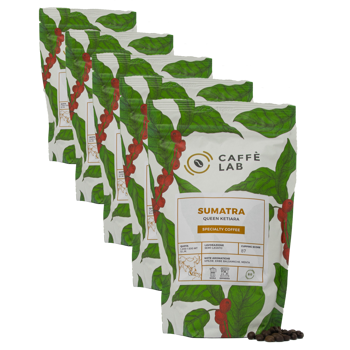 Kaffee Sumatra Queen Ketiara Bio - Bohnen - Pack 5 × Bohnen Beutel 250 g
