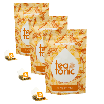 Verdauung 14 Tage - Pack 3 × Teebeutel 35 g