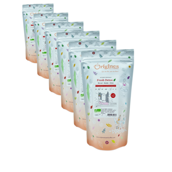 Tè Verde Bio in busta - Fresh Detox Chine - 100g - Pack 6 × Bustina 100 g