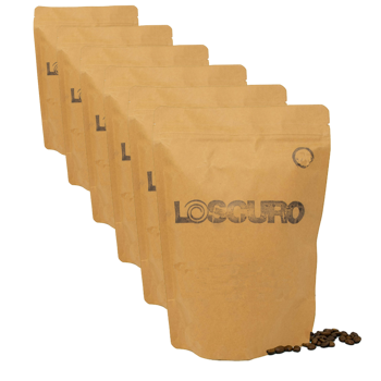 Miscela Intensa - India 25 - Brasile 75 - 250 g - Pack 6 × Chicchi Bustina 250 g