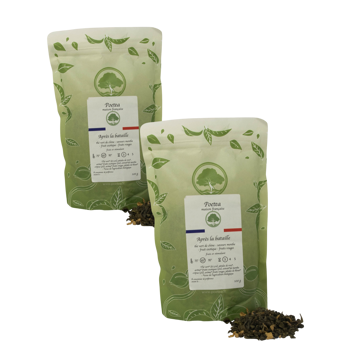 Grüner Tee mit Minze und exotischem Fruchtgeschmack - 100g - Pack 2 × Beutel 100 g