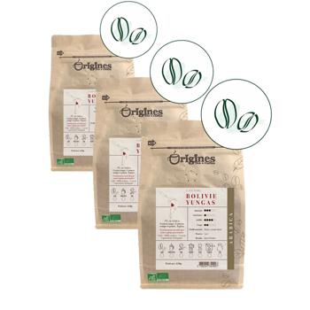 Origines Tea&CoffeeCafe Moulu Bolivie Yungas 250G Moulu Aeropress - 250 G - Pack 3 × Moulu Aeropress Pochette 250 g