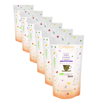Grüner Tee Bio im Beutel - John Lemon Corée du Sud - 100g - Pack 6 × Beutel 100 g