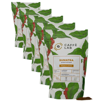 Kaffee Sumatra Queen Ketiara - Filter - Pack 5 × Mahlgrad Filter Beutel 250 g