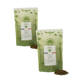 Grüner Rooibos mit Mango und exotischen Früchten - 100g - Pack 2 × Beutel 100 g