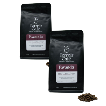 Terroir Café - Rwanda, Titus 1kg - Pack 2 × Bohnen Beutel 1 kg