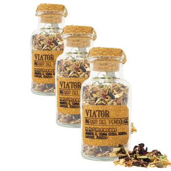 Hyperborea Tisane Viator Bocal En Verre 85 G - Pack 3 × Bocal en verre 85 g