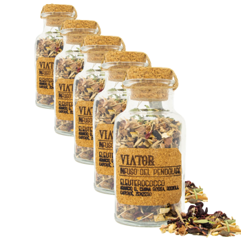 Hyperborea Tisane Viator Bocal En Verre 85 G - Pack 5 × Bocal en verre 85 g