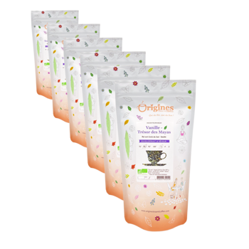Grüner Tee Bio im Beutel - Vanille Trésor des Mayas Corée du Sud - 100g - Pack 6 × Beutel 100 g
