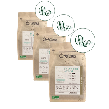 Origines Tea&Coffee Cafè En Grains - Salvador Ataco - 250G - Pack 3 × Grains Pochette 250 g