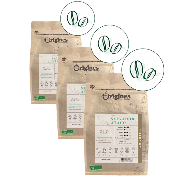 Origines Tea&Coffee Cafè En Grains - Salvador Ataco - 250G by Origines Tea&Coffee