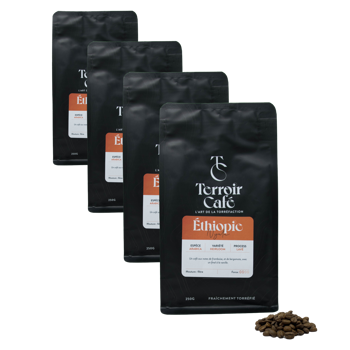 Caffè in grani - Etiopia, Nyala 250g - Pack 4 × Chicchi Bustina 250 g