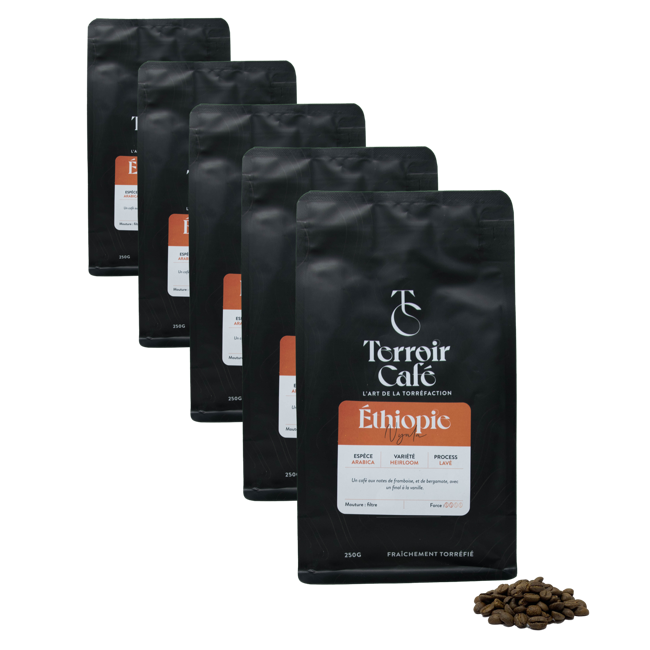 Caffè in grani - Etiopia, Nyala 250g by Terroir Cafe