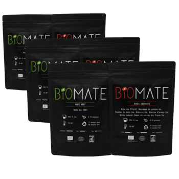 Entdeckerpaar: Grüner Mate - Wild Berry - Pack 3 × Entdecker Paket 100 g