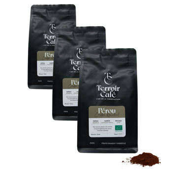 Terroir Cafe Terroir Cafe Perou Bio Condor Huabal 250G Moulu Filtre - 250 G - Pack 3 × Moulu Filtre Pochette 250 g