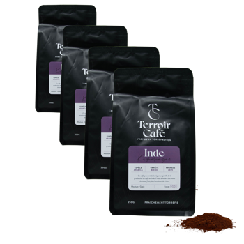 Terroir Cafe Terroir Cafe Inde Kusha 250G Moulu French Press - 250 G - Pack 4 × Moulu French press Pochette 250 g