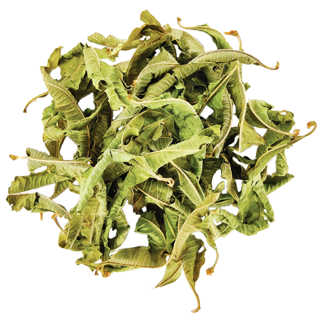 Secondo immagine del prodotto Infusion Bio Verveine Gastronomique Feuilles entières in scatola di metallo - 20g by Origines Tea&Coffee