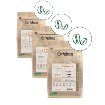 Origines Tea&Coffee Cafè En Grains - Ethiopie Limu - 250G - Pack 3 × Grains Pochette 250 g