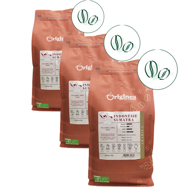 Caffè macinato - Indonésie Sumatra - 1kg by Origines Tea&Coffee